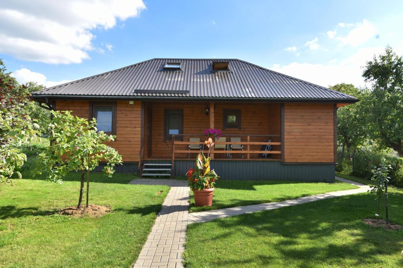 Villa Vasarnamis Zarasuose à Zarasai Extérieur photo