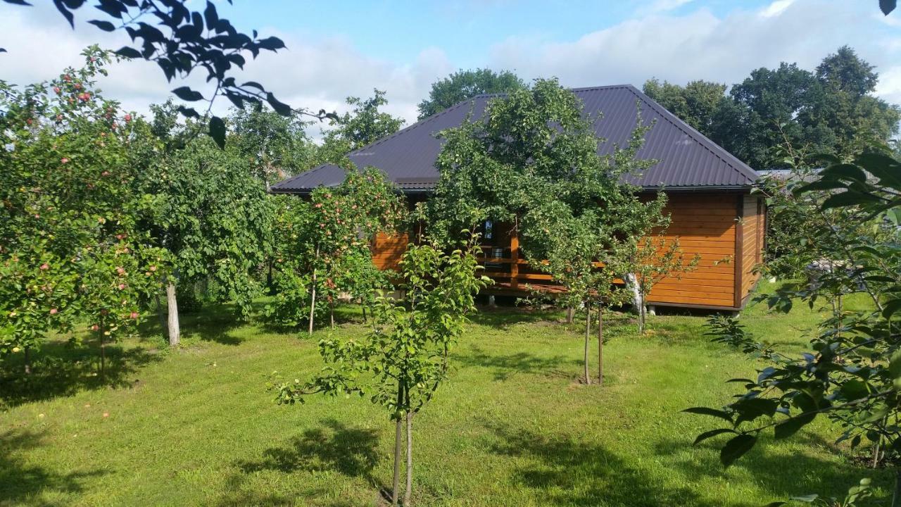 Villa Vasarnamis Zarasuose à Zarasai Extérieur photo