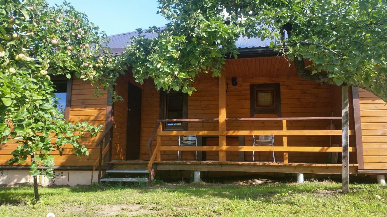 Villa Vasarnamis Zarasuose à Zarasai Extérieur photo