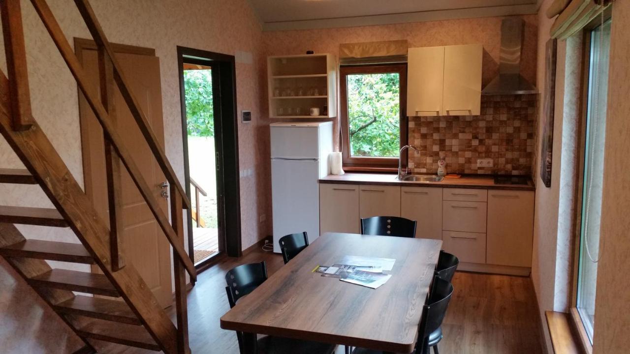 Villa Vasarnamis Zarasuose à Zarasai Extérieur photo